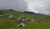 Trail Walking Kamnik - Velika Planina - Photo 1