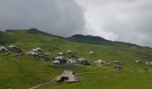 Tour Wandern Stein in Oberkrain - Velika Planina - Photo 1