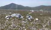 Tocht Stappen Mantet - col de mantet - Photo 2