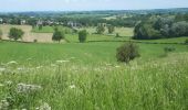 Trail Nordic walking Herve - Battice_Fort - Photo 17