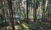 Tocht Stappen Remiremont - Remiremont - baraque des gardes - étang du Villerain - cascade du Géhart - étangs et prieuré d'Hérival  - Photo 6