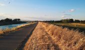 Percorso A piedi Lattes - Sentier des tamaris - Photo 5