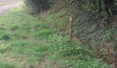 Trail Walking Ger - balisage 11 - Photo 3