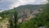 Randonnée Marche Val-Buëch-Méouge - ANTONAVES,  LES GORGES DE LA MEOUGE ,  ROCHER DU CHATEAU o s - Photo 12