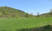 Tour Zu Fuß Wesertal - Eco-Pfad Wahlsburg - Photo 3