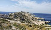 Tocht Stappen Marseille - île de Frioul  - Photo 12