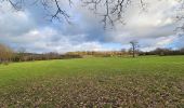 Tour Wandern Lierneux - A la découverte de Lierneux 🥾 - Photo 1