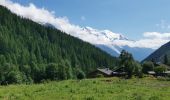 Tour Wandern Chamonix-Mont-Blanc - Aiguille de Posettes et Tête de Balme - Photo 1