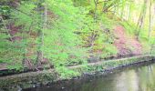 Trail On foot Seegräben - Uster - Seegräben - Photo 1