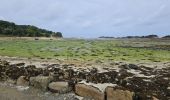 Trail Walking Plougrescant - 2023 RA Bretagne costarmoricaine Plougrescant - Trévou - Photo 15
