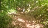 Tour Wandern Großmenglatt - Rando des Marcheurs du 7 Août 2025..Grosmagny - Photo 8