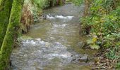 Tour Wandern Stoumont - La Gleize (Ruy - Exbomont - Mont des Brumes) - Photo 6