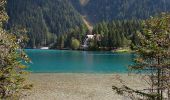 Tour Zu Fuß Rasen - Antholz - Seerundweg - Photo 2