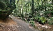 Percorso Marcia Echternach - mullerthal moitié E1 - Photo 3