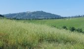 Trail Walking Monteroni d'Arbia - CR_Francigena_DG_43_Monteroni-D-Arbia_San-Quirico-D-Orcia_20230526 - Photo 15