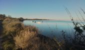 Excursión Senderismo Villeneuve-lès-Maguelone - Villeneuve les Salins - Photo 5