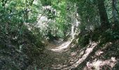 Trail Walking Malansac - rochefort en terre - Photo 17