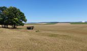 Randonnée A pied Doische - Balade de Doische àVaucelles - Photo 3