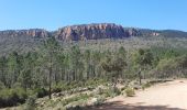 Tour Wandern Bagnols-en-Forêt - Les gorges du Blavet casteldiaou - Photo 2