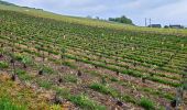 Trail Walking Gland - Gland du 24-04-2025 - Photo 1