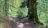 Tocht  Gérardmer - Bourrique, tour et cascade de Merelle - Photo 18