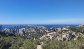 Randonnée Marche Marseille - 2023-04-16 Calanques de Sormiou et de Sugiton - Photo 4