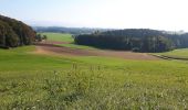 Percorso A piedi Affoltern am Albis - Sunnenbüel - Türlen - Photo 8