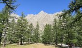 Tour Wandern Vallouise-Pelvoux - Le Glacier Blanc - Pré Madame Carle - Photo 4