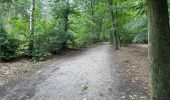 Trail Walking Sint-Gillis-Waas - De Klinge 21,9 km - Photo 2