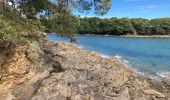 Tour Wandern Concarneau - Concarneau  - Photo 2