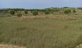 Tour Wandern Castelvetrano - l'espace protégé de Selnonte - Photo 4