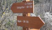 Trail Walking Sigale - trace cime de la cacia 30mars23 - Photo 11