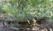 Tour Zu Fuß Sailauf - Roter Schmetterling, Rundwanderweg Sailauf - Photo 4