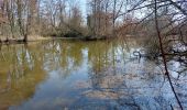 Trail Walking Monétay-sur-Allier - la boire de Monetay + l Trail Walking Monétay-sur-Allier - la boire de Monetay + l