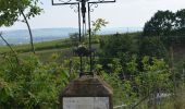 Percorso A piedi Oestrich-Winkel - Quer-Flötenweg - Photo 6