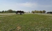 Tocht Stappen Belle - camping de la Ferme des Saules à côté de Bailleul, arrivée Deulemont - Photo 5