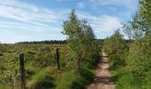 Randonnée Marche Theux - autour de Bronromme a travers campagne fagne et forêt  - Photo 2