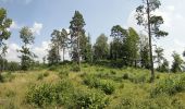 Excursión A pie Ebermannstadt - Großer Rundweg Burg Feuerstein - Photo 8