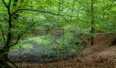 Percorso A piedi Roeser - Old Fleche Bleu Berchem/Bivange - Photo 9