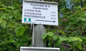 Tour Wandern Profondeville - PROFONDEVILLE ... par Roquebrune. - Photo 3