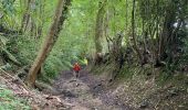 Trail Walking Houyet - Gendron-gare août 2025 - Photo 14