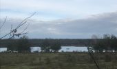 Excursión Bici eléctrica Maaseik - Van Opoeteren naar Maaseik en terug - Photo 9