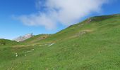 Randonnée Marche Beaufort - COL DE LA SAUCE - Photo 14