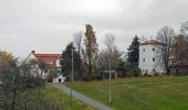 Excursión A pie Steina - Rundwanderweg Gelber Punkt Ohorn - Steina - Luchsenburg - Photo 10