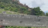 Tour Wandern Manso - Corse 2023: Tuvarelli - Sierrera - Photo 1