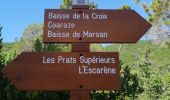 Tour Wandern L'Escarène - Boucle de la forêt domaniale des paillons - Photo 1