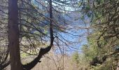 Trail Walking Orbey - lac blanc, gazon du faing, lac noir, rocher Hans, lac blanc  - Photo 13