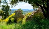 Tour Wandern Flassans-sur-Issole - flassans-sur-issole - Photo 7