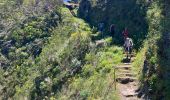 Tocht Stappen São Roque do Faial - Pico Ruibo - Photo 4