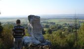 Trail On foot Durbuy - GrWandArd 18: Wéris land van dolmen en menhirs - Photo 4